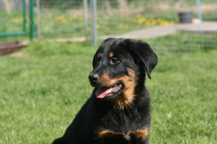 Quenza 09 04 2017 (48)